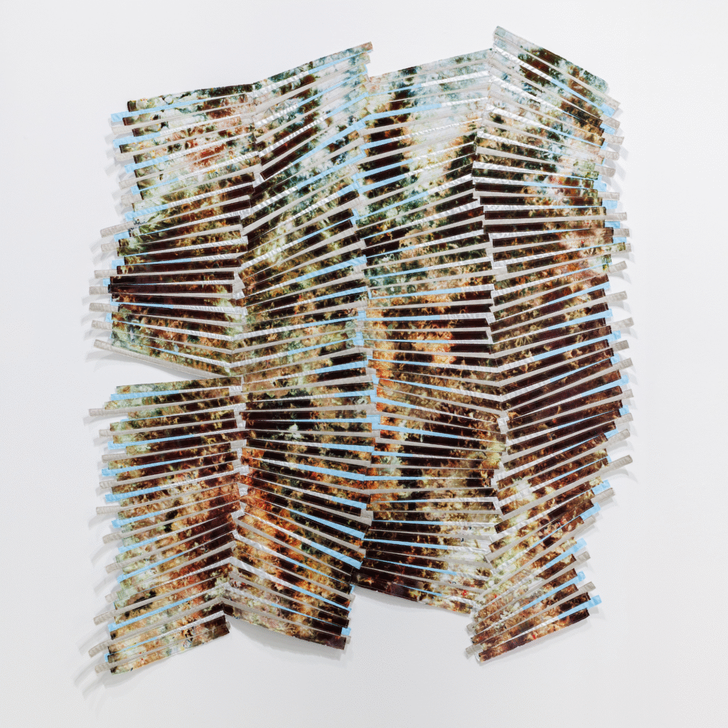 Regina Durante Jestrow, Pieced Landscape 56, 2024, hand—dyed cotton (reactive dyes), assorted textiles, muslin, felt, thread, 63 x 79 in.