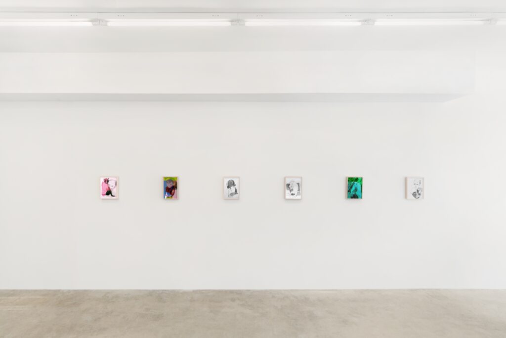 Francie Bishop Good, The Blur Between, Installation View