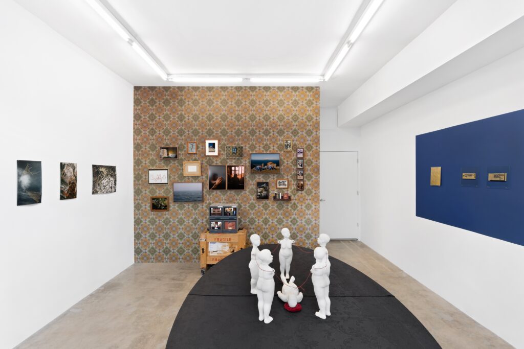 Transit Memory, Ana Mosquera, Diana Larrea, Sepideh Kalani, Zonia Zena, Installation View, Baker—Hall.